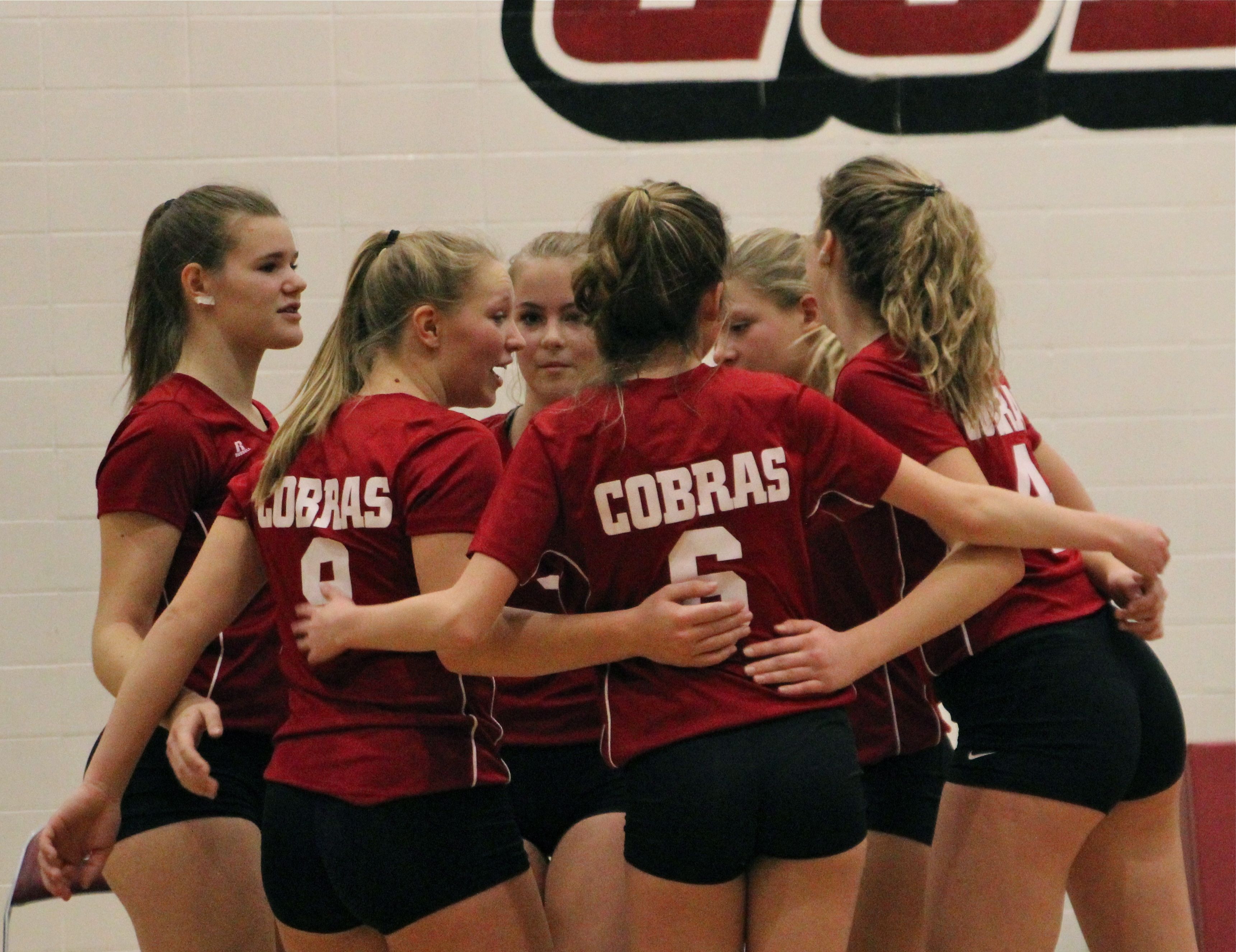 CHS volleyball teams medal in divisionals, zones start tomorrow