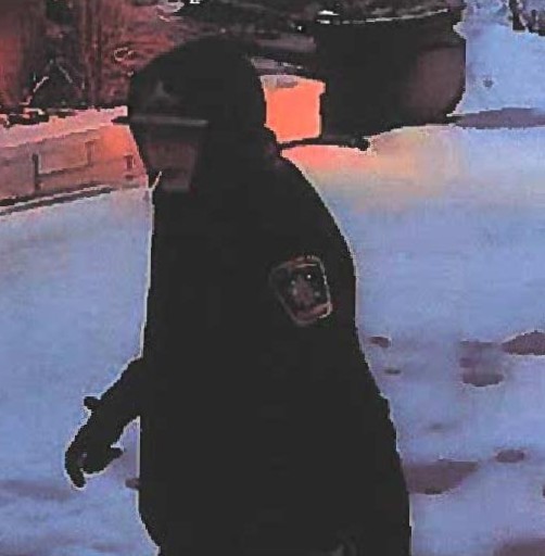 RCMP asking for public help finding break and enter suspects ...