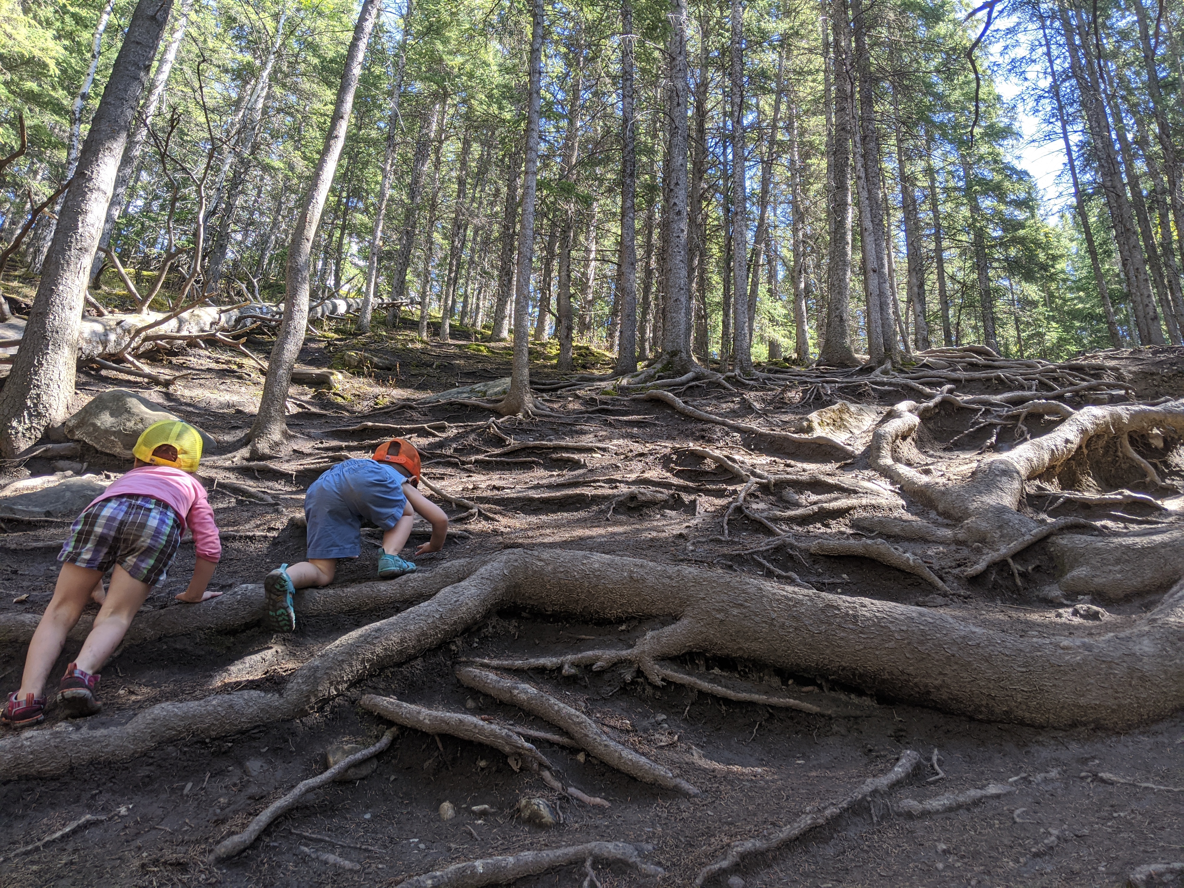 Try orienteering today at the Cochrane Ranche - CochraneNow: Cochrane ...