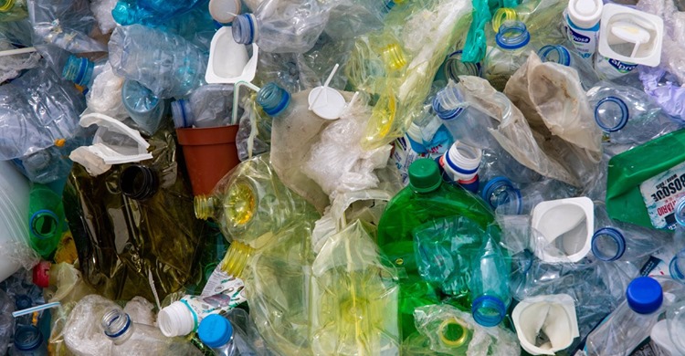Plastic Less August calendar challenge issued - CochraneNow: Cochrane ...