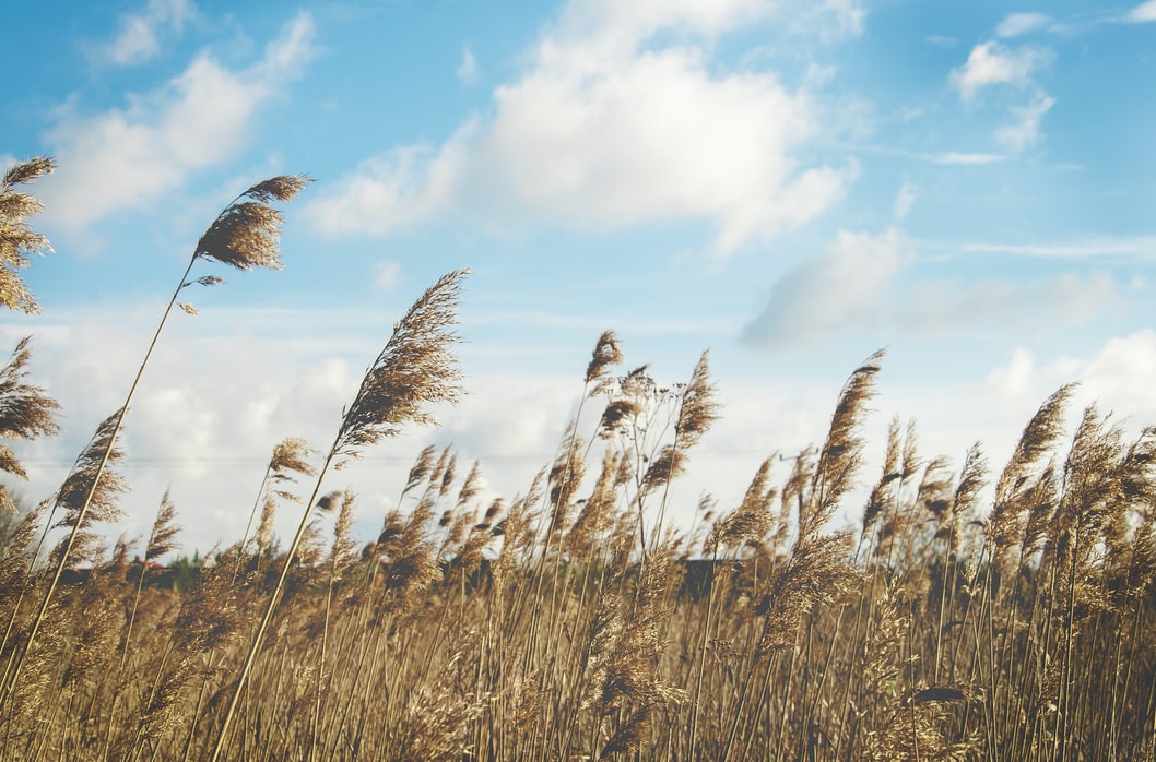 The ungodly life - CHVNRadio: Southern Manitoba's hub for local and Christian news, and adult contemporary Christian programming. - Vimarsana News