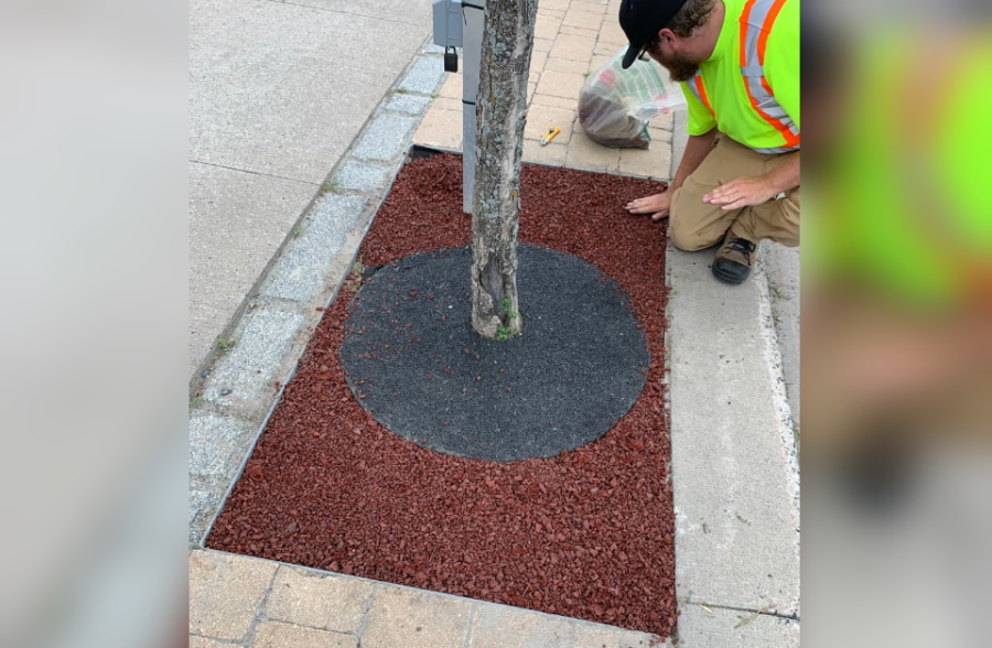 Kal's RePlay funds city tree well project - KenoraOnline: Kenora, Ontario's latest news, sports, weather, community events. - Vimarsana News