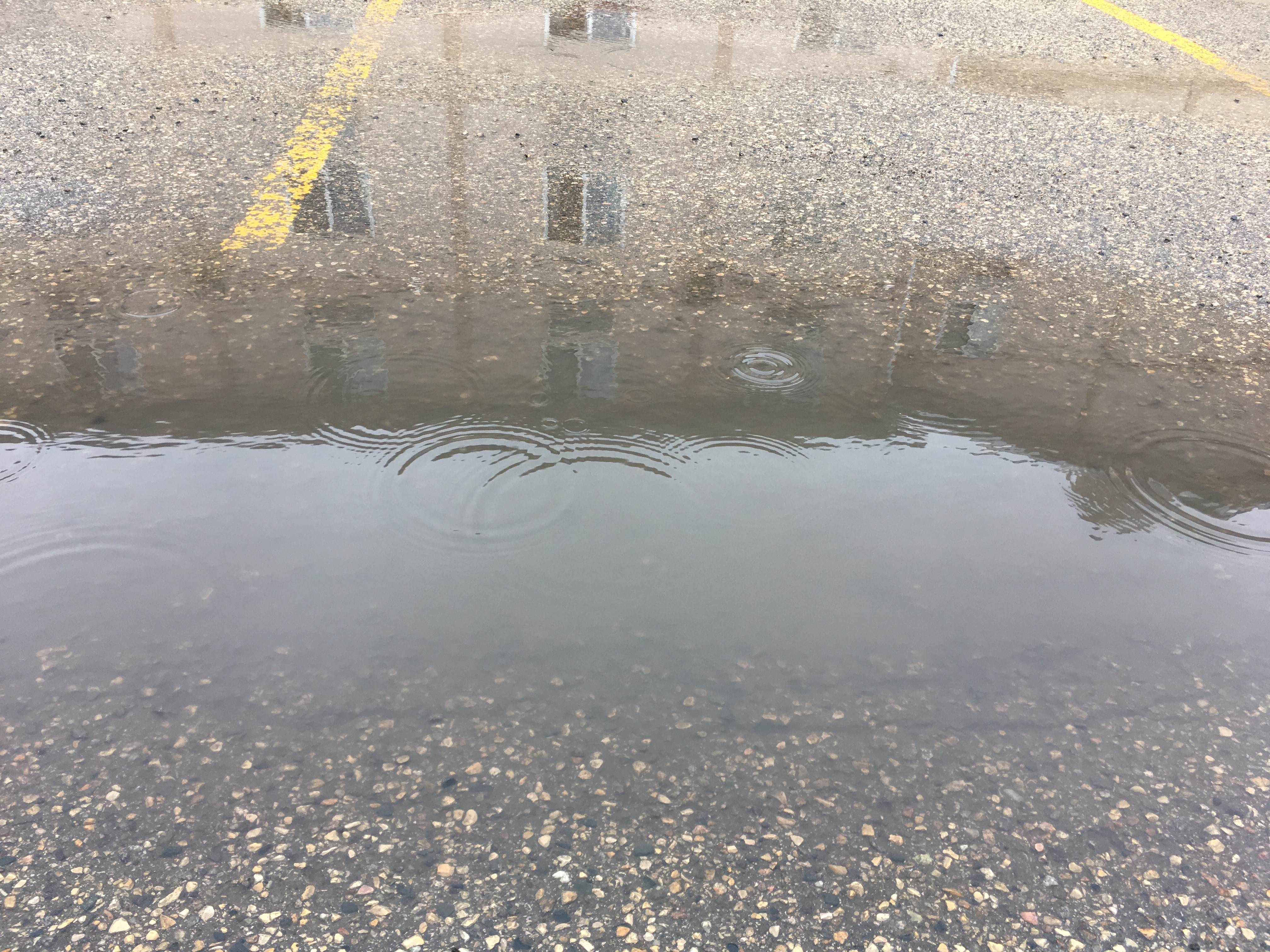 Forecast Calls For chance Of Rain Today DrydenNow Dryden Ontario Forecast Calls For chance Of Rain Today DrydenNow Dryden Ontario