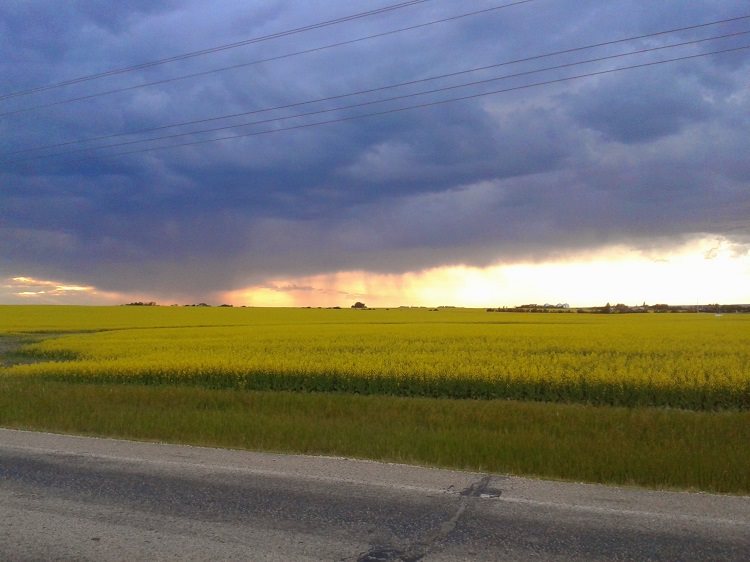 County declares Agricultural Disaster - ReachFM: Peace Country's hub for local and Christian news, and adult contemporary Christian programming. - Vimarsana News
