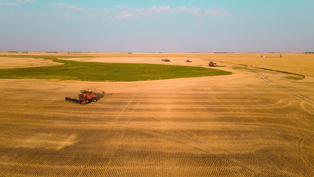 Saskatchewan Harvest Well Ahead of Five-Year Average - CochraneNow ...