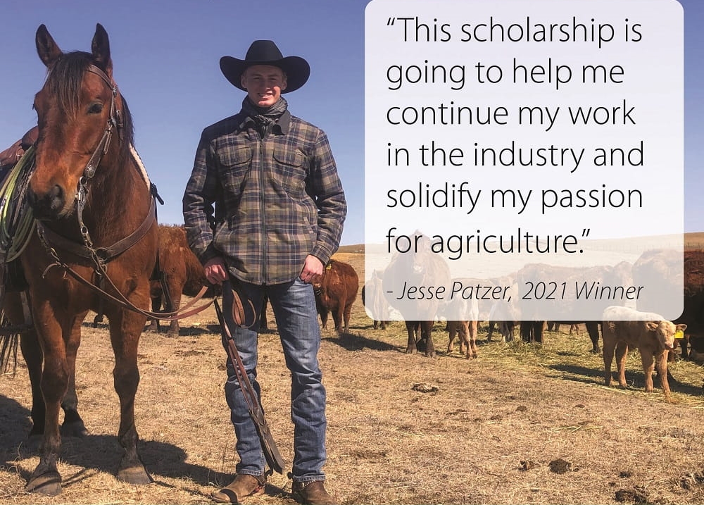 Application process for Sask Ag Scholarship Program opens CochraneNow