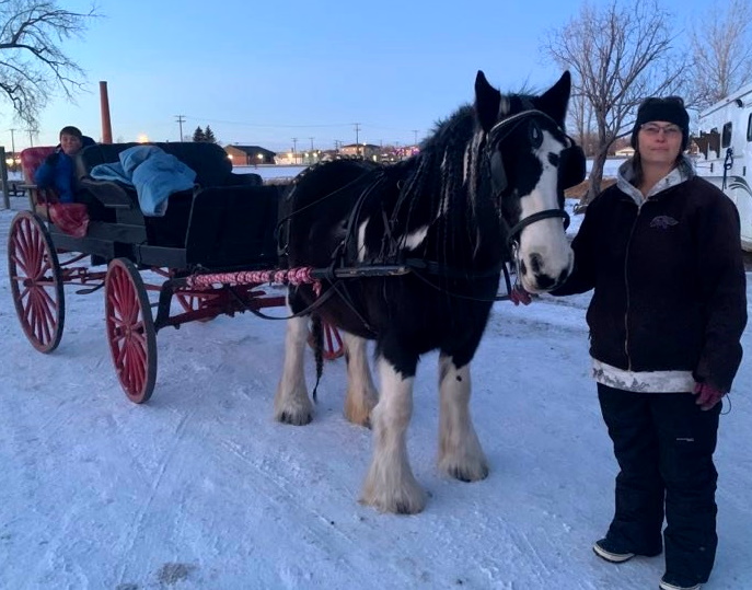 [VIDEO] We Love Horses, They Love Carrots