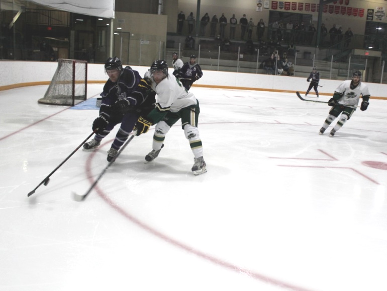 The Tiger Hills Hockey League Report - Larry Martens - DiscoverWestman ...