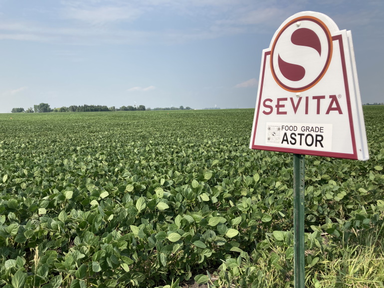 Demand Growing For FoodGrade Soybeans Local