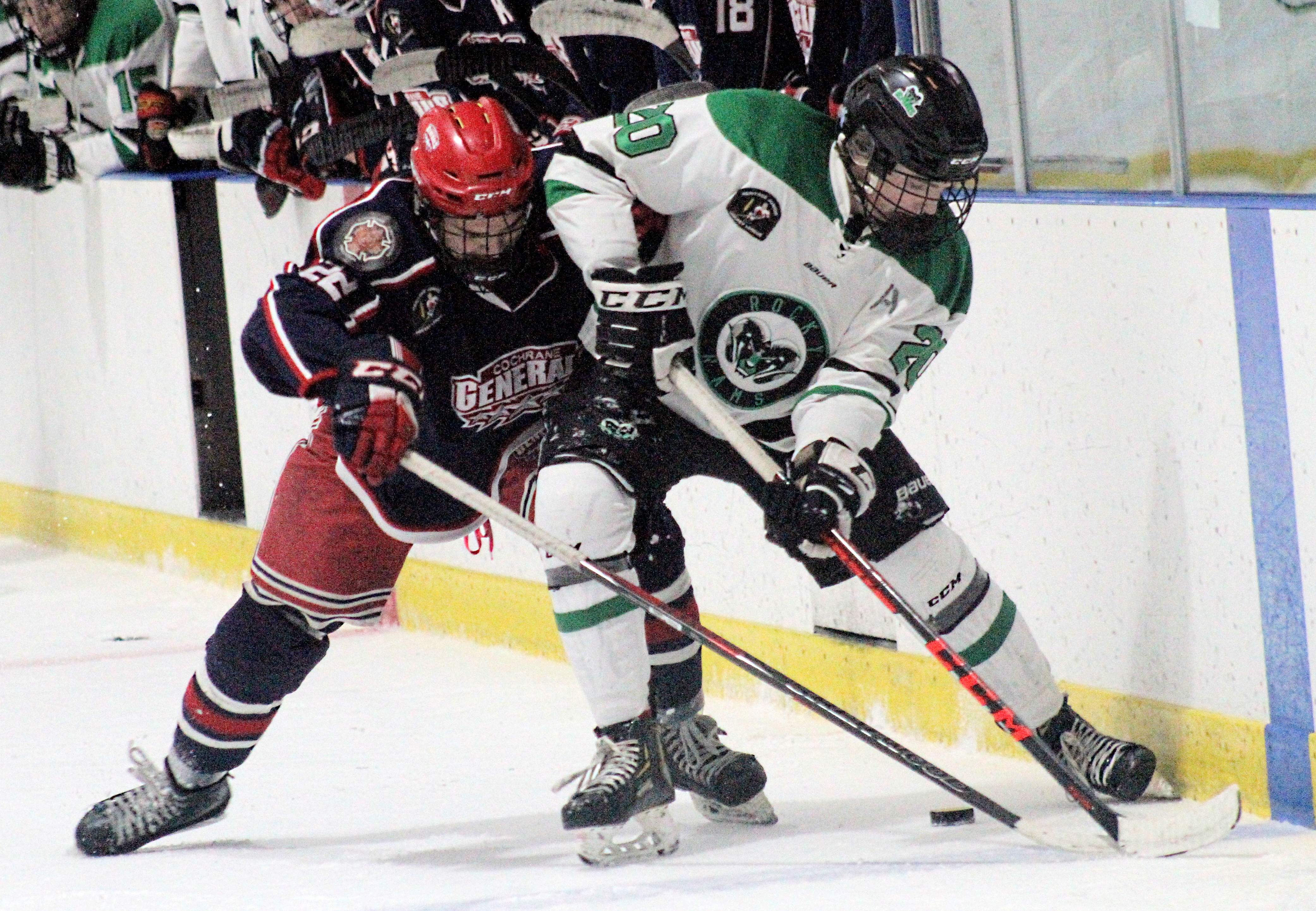 Comeback complete! Up next, the Red Deer Vipers - CochraneNow: Cochrane ...