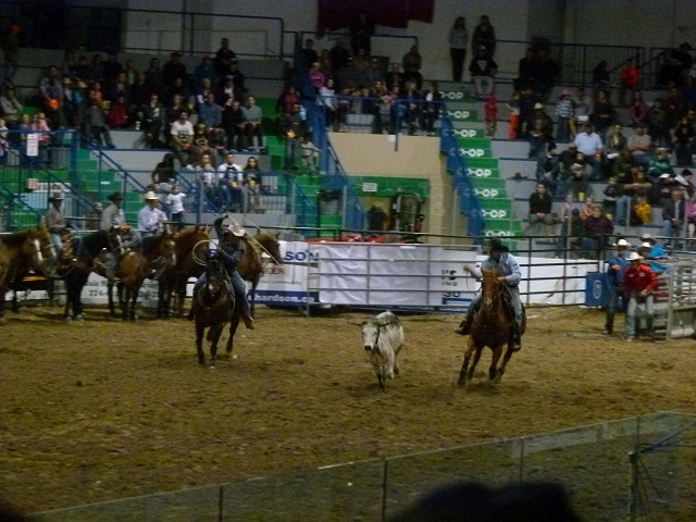 Kindersley Rodeo looking for volunteers - WestCentralOnline: West ...