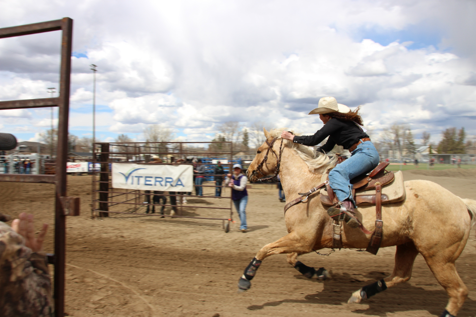 Scenes from Day 2 of the High School Rodeo - DiscoverWeyburn.com ...