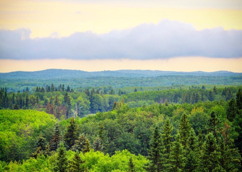 Moose Mountain setting up for opening day following wild weather