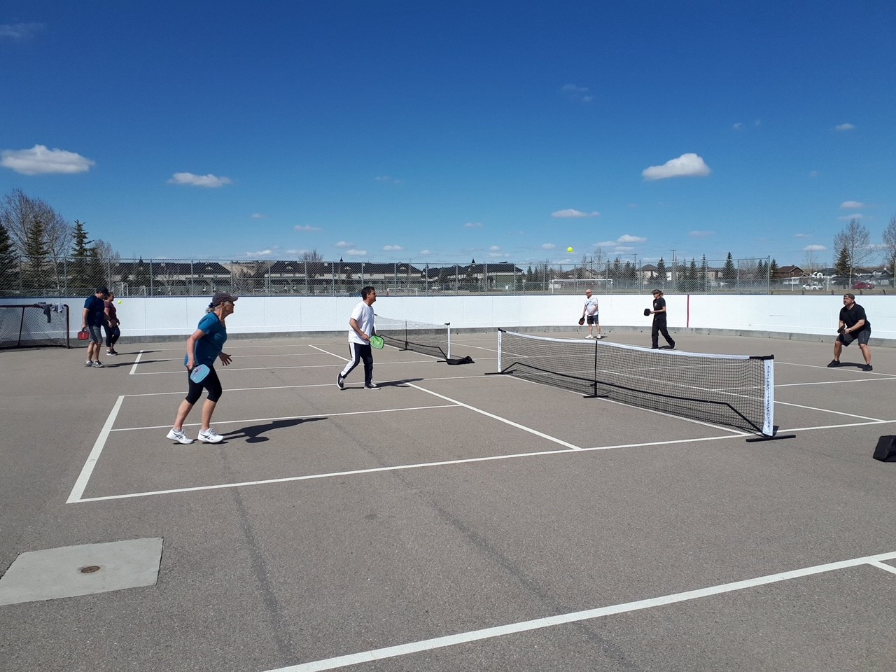 Pickleball in Airdrie is gaining some attention Local News, Weather