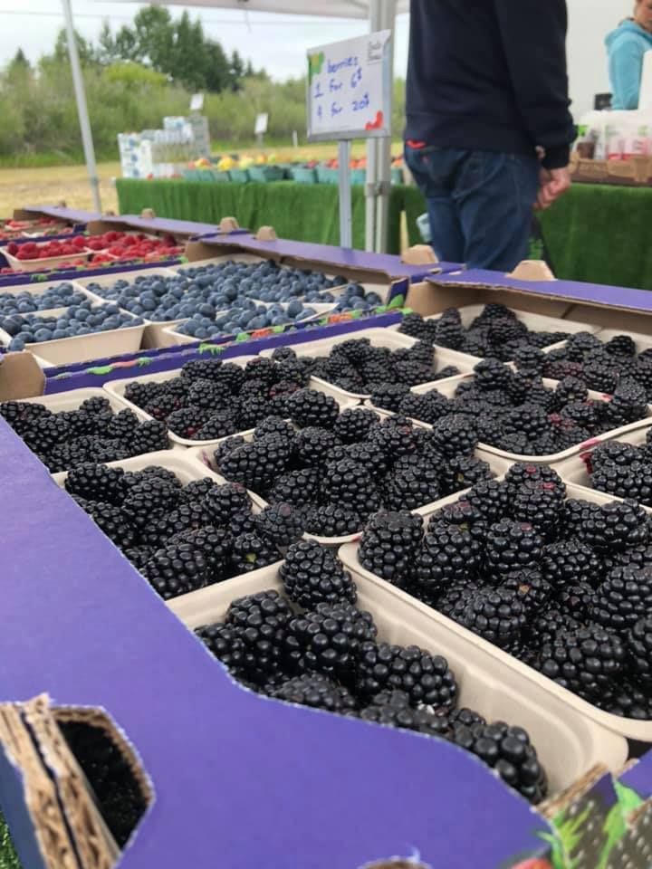 Vendors new and old come together to make farmers market a hit ...