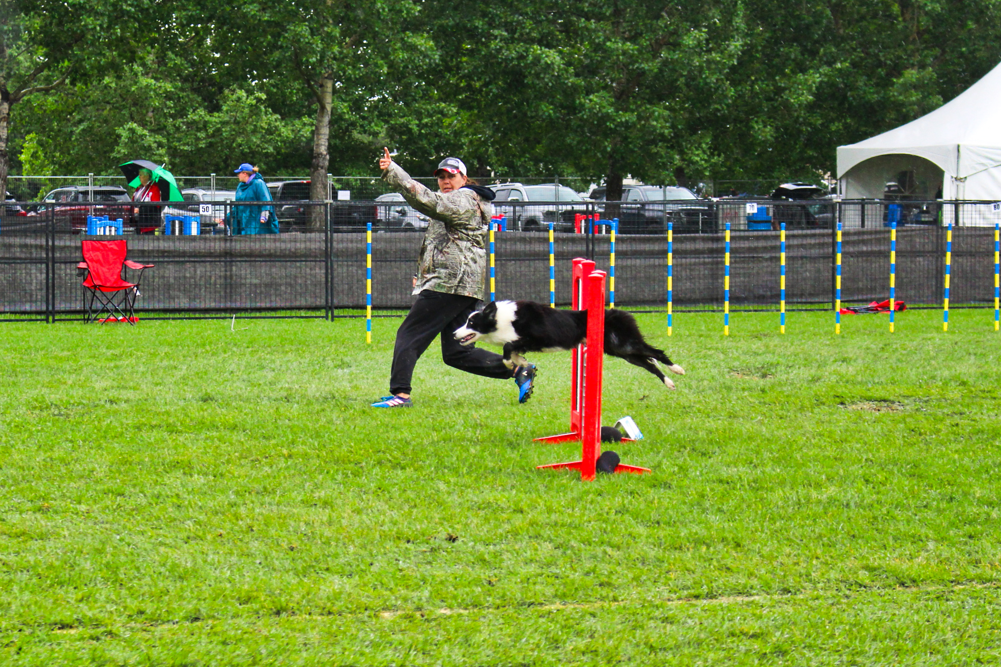 Agility Association of Canada hosts Regional Championship in