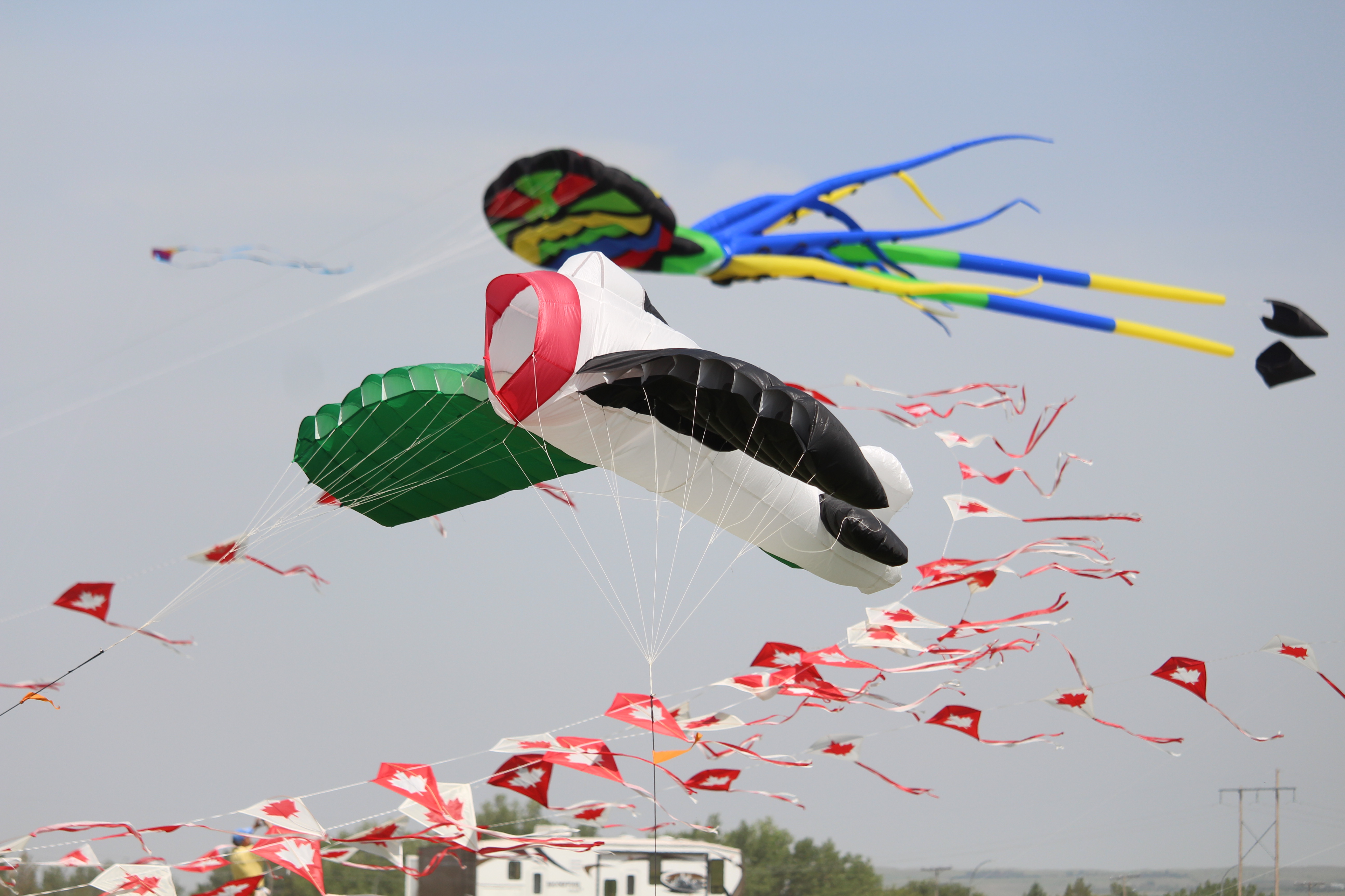 Windscape blows back into Swift Current - SwiftCurrentOnline.com ...
