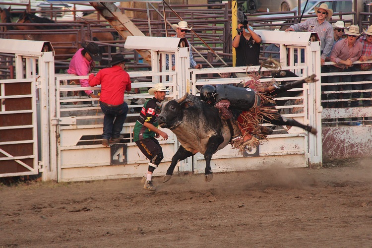 Rockyford Rodeo back after hiatus - StrathmoreNow.com - Local news ...