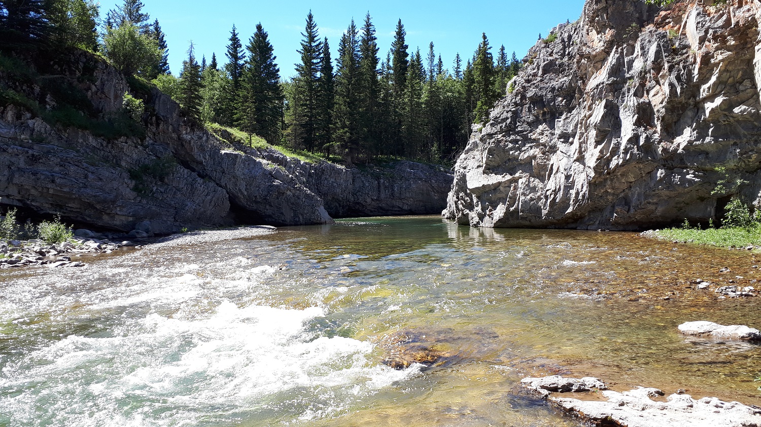 NDP wants to scrap the Kananaskis pass Local