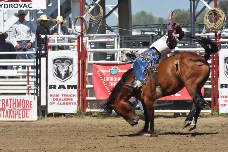 Strathmore Stampede was a big hit! - StrathmoreNow.com - Local news ...