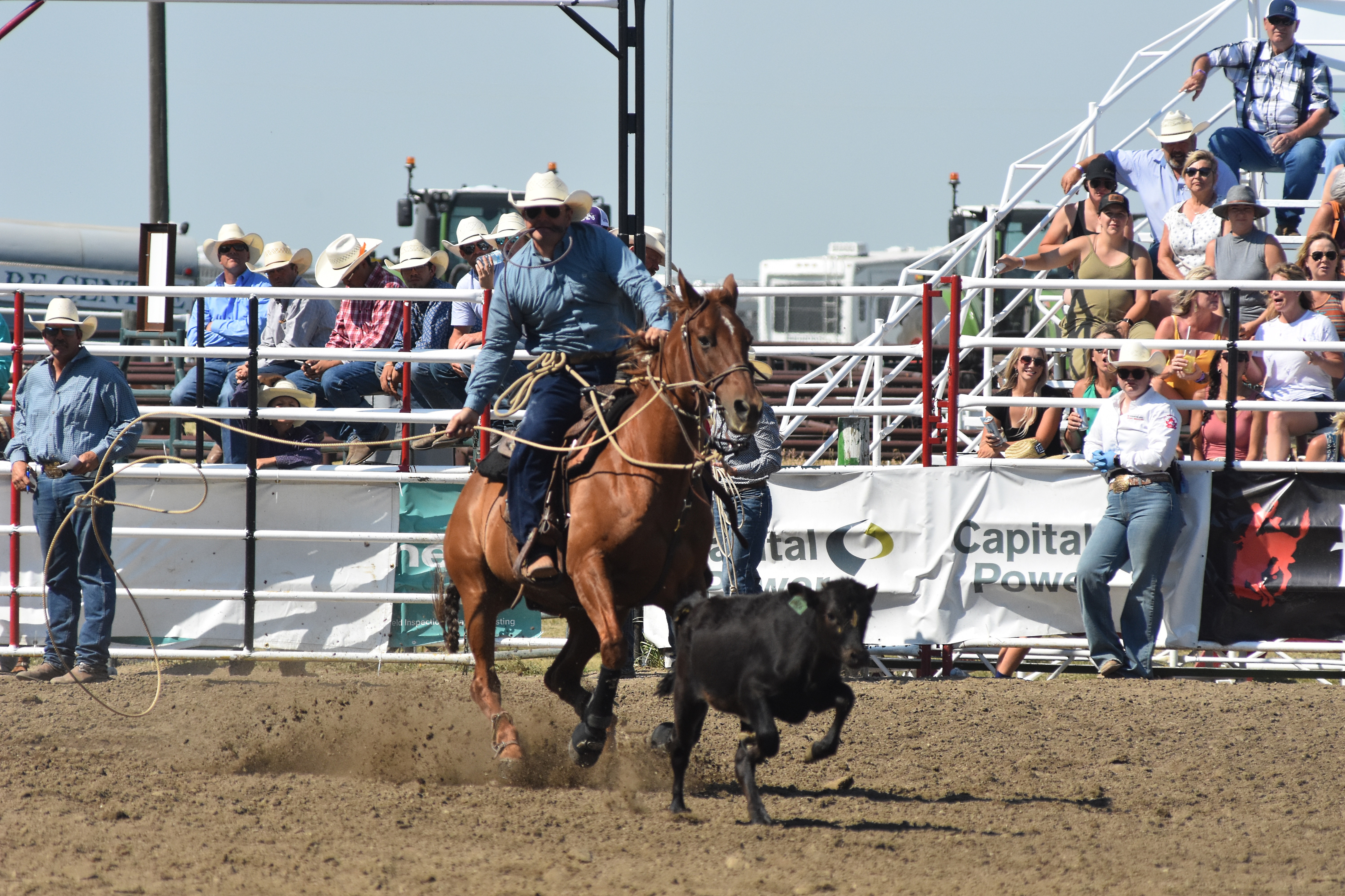 Strathmore Stampede was a big hit! - StrathmoreNow.com - Local news ...
