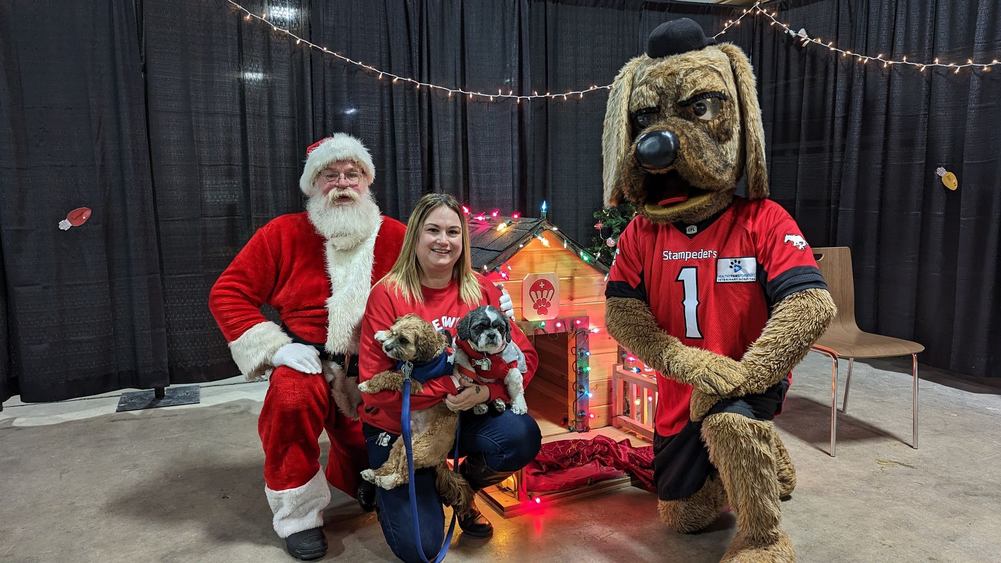 Free vet clinic coming to Airdrie this Saturday