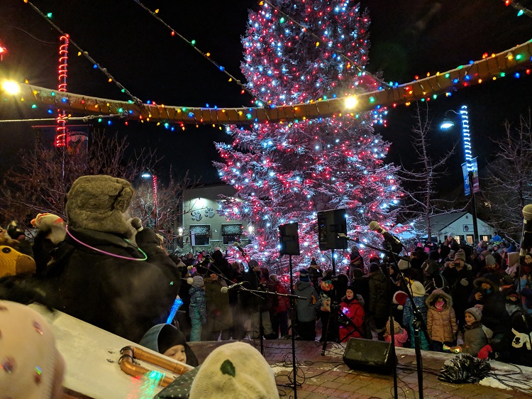 Flip the switch on Christmas with the Sheep River Health Trust