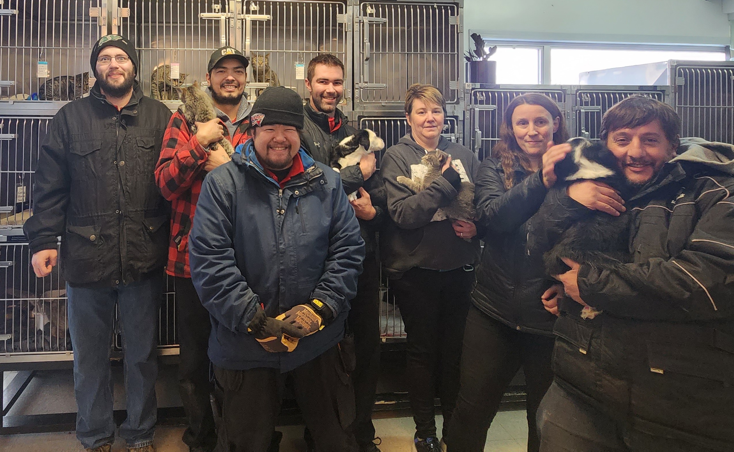 Christmas Comes Early For Swift Current SPCA SwiftCurrentOnline Christmas comes early for swift current spca swiftcurrentonline