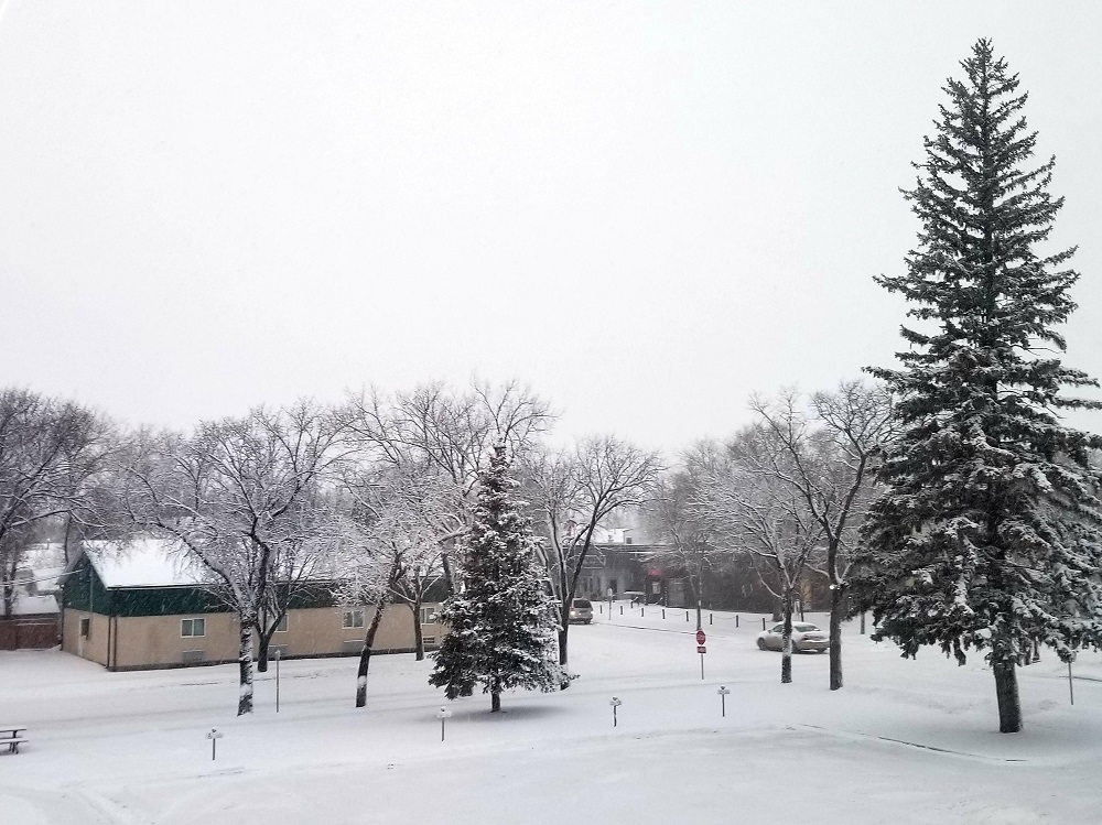 It's beginning to look a lot like... more snow is on the way