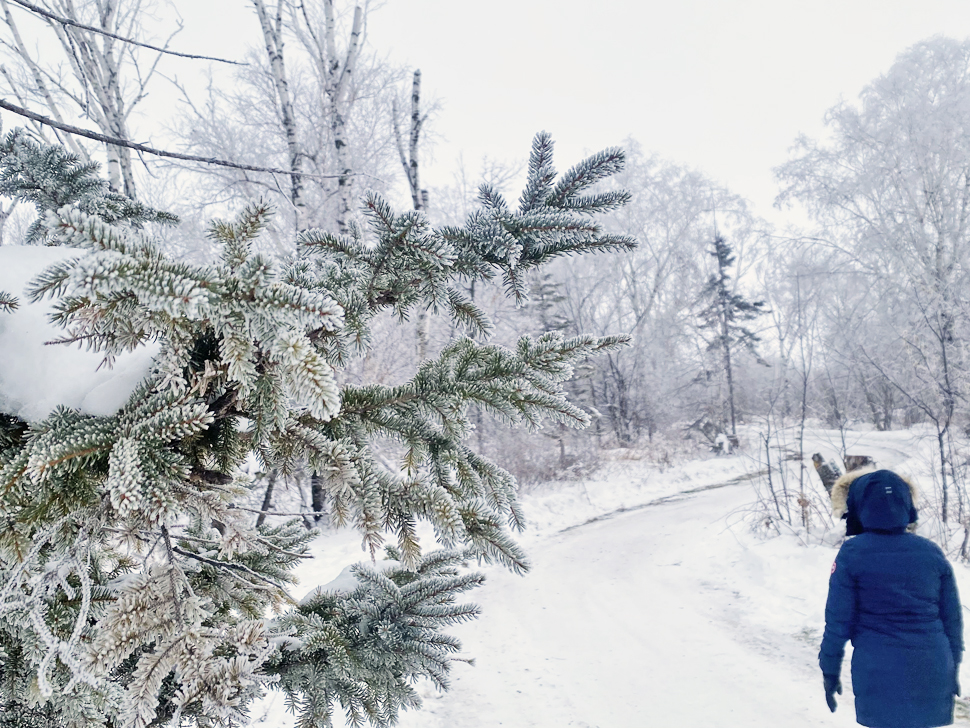 More fog in the forecast; what's causing it and how much longer will it