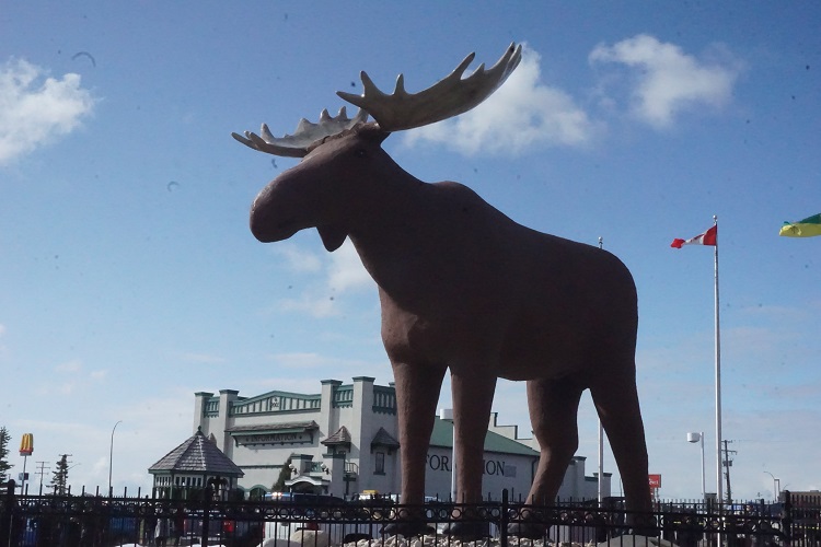 Council backs hotel levy to reshape tourism funding – DiscoverMooseJaw.com