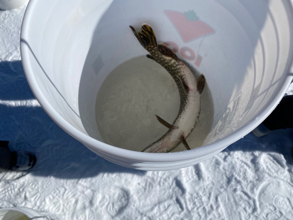 Three local people win big prizes in the 2023 Falcon Fish-Off ...
