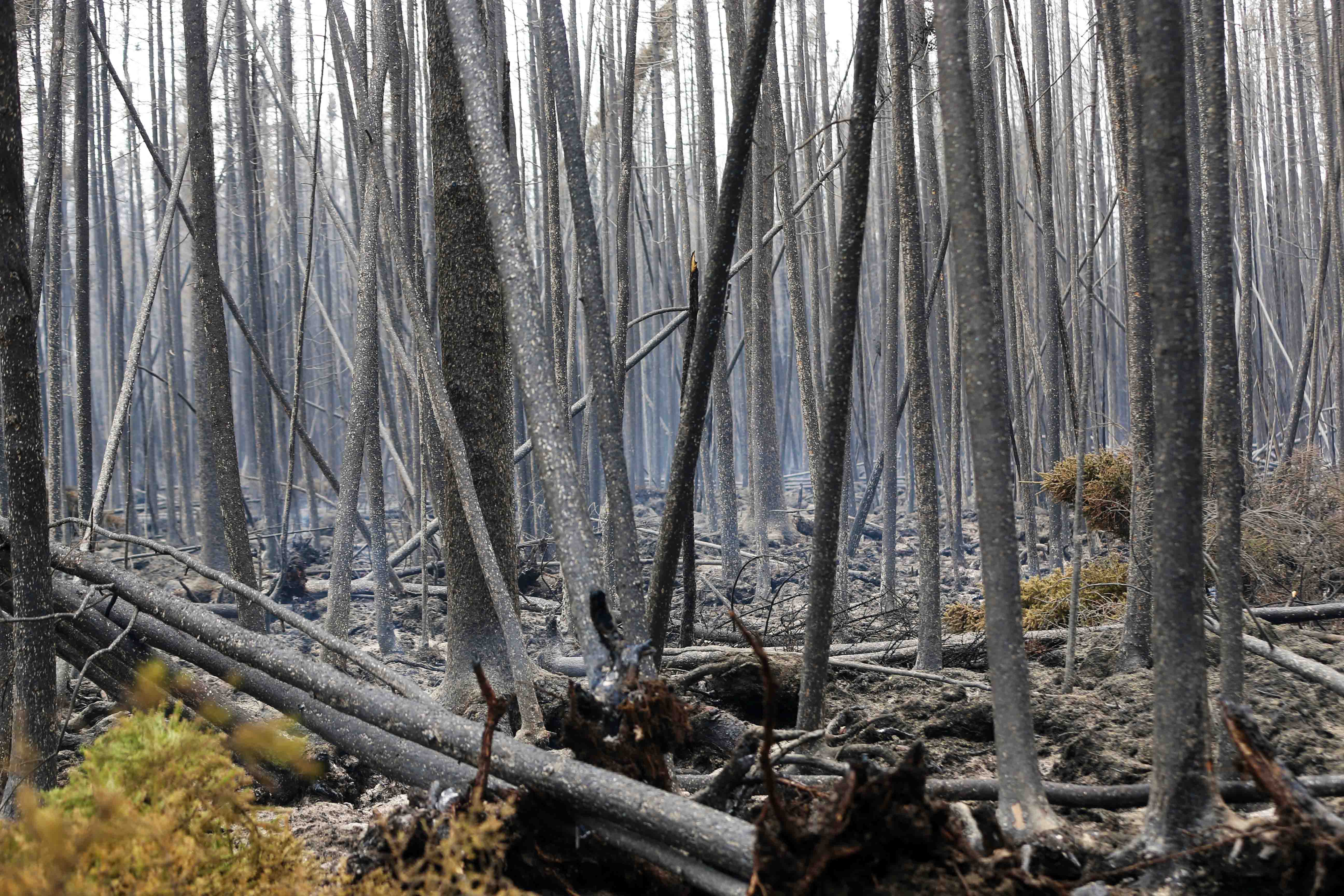 Gallery: Province declares state of emergency as wildfires spread ...