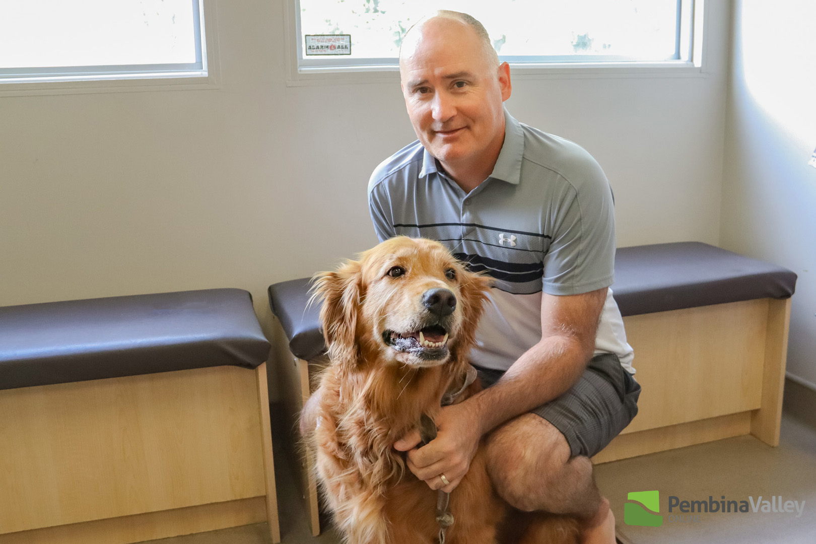 Pawsitive impact supporting veterinary care through canine blood donor