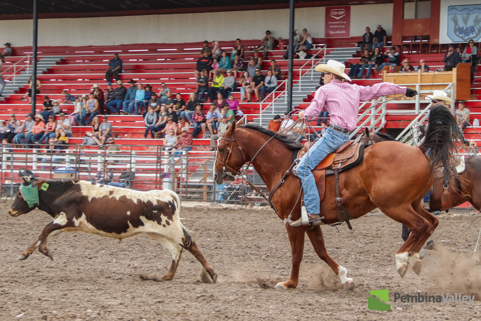 Miami's Fair & Rodeo: where western spirit shines - PembinaValleyOnline ...