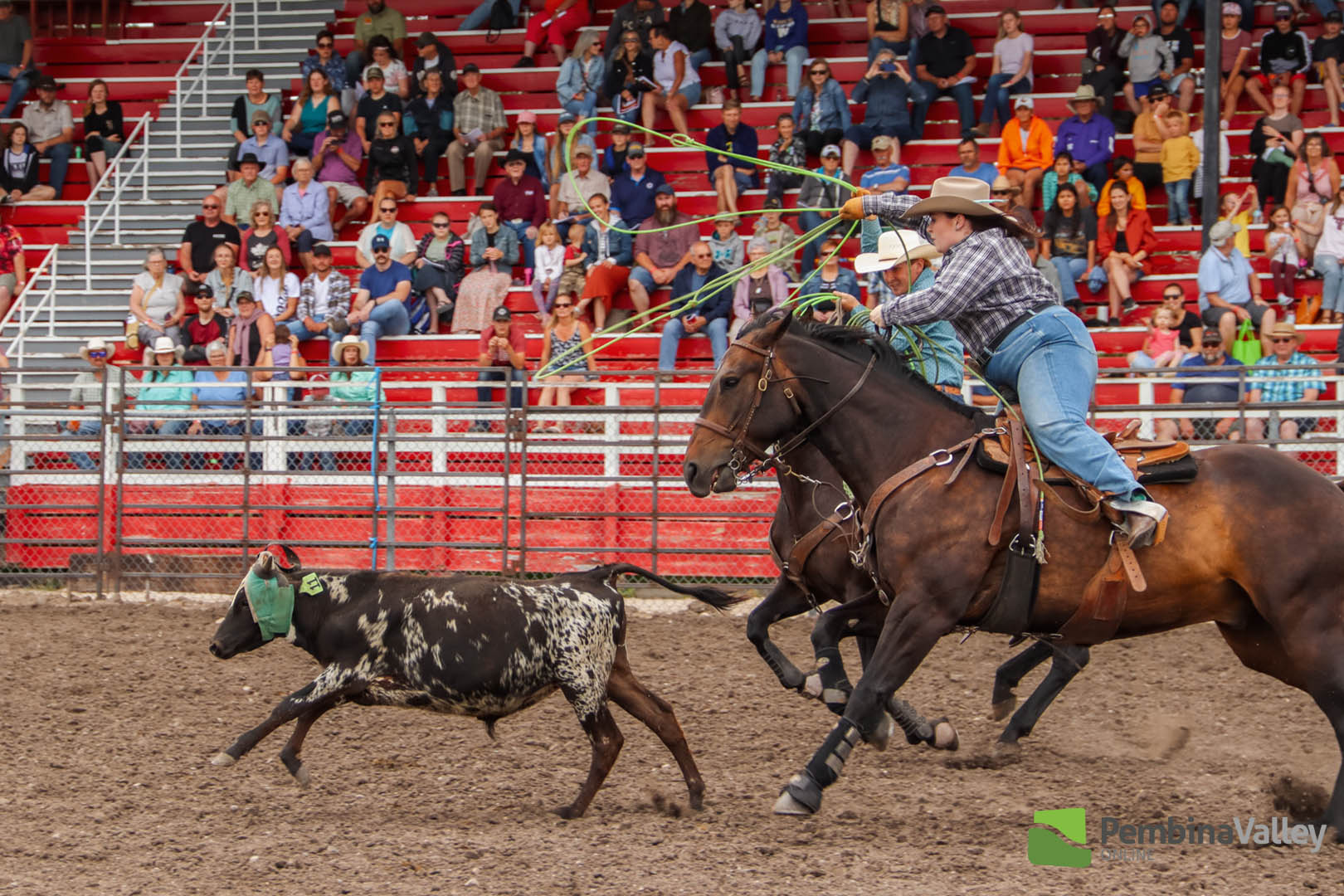 Miami's Fair & Rodeo: where western spirit shines - PembinaValleyOnline ...