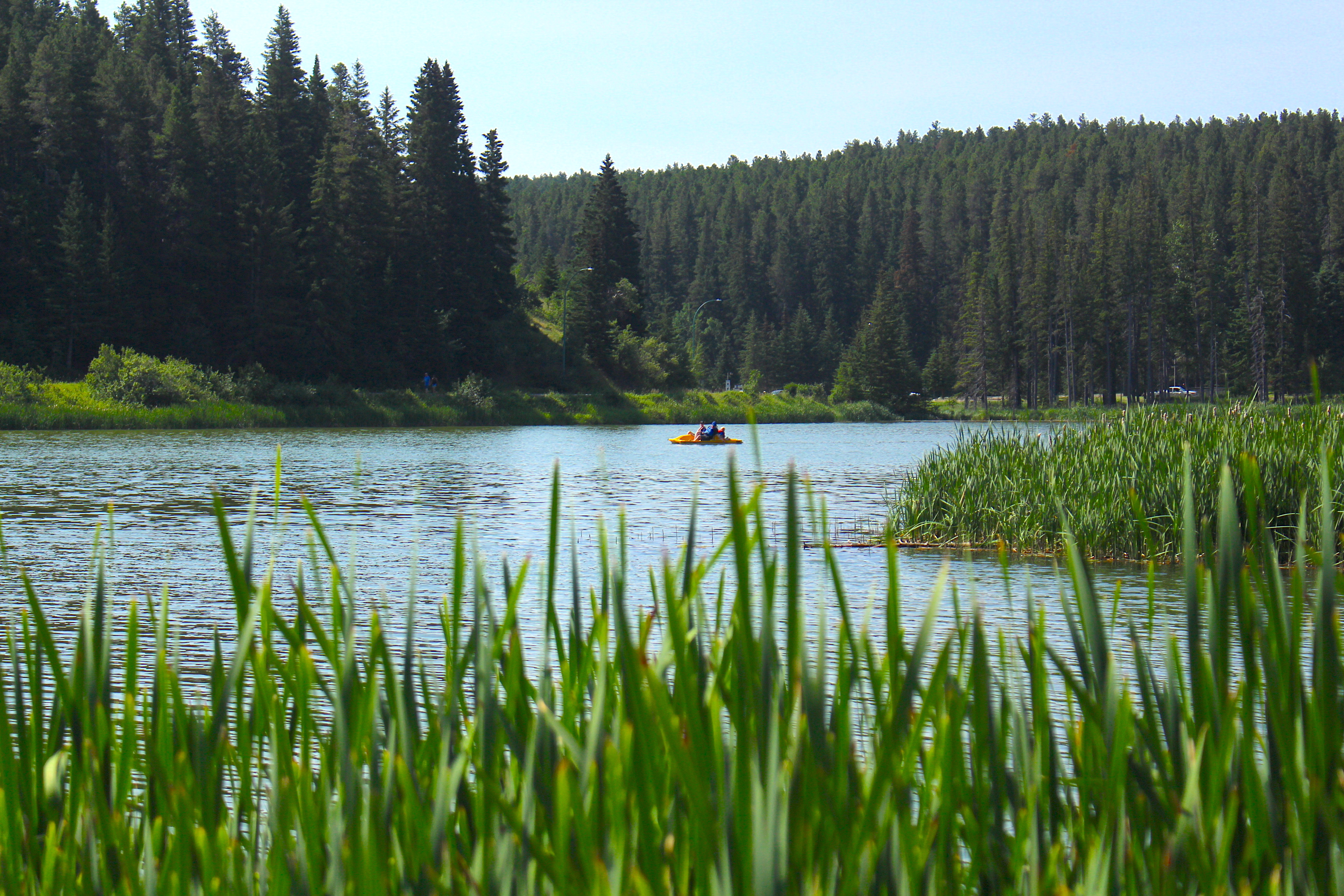 The Southwest Explorer's Cypress Hills Experience