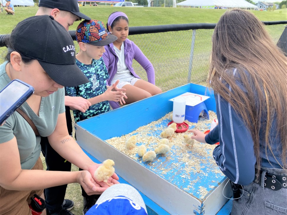 Bingo, parade and hoops: Mitchell and Area Fun Days in photos ...