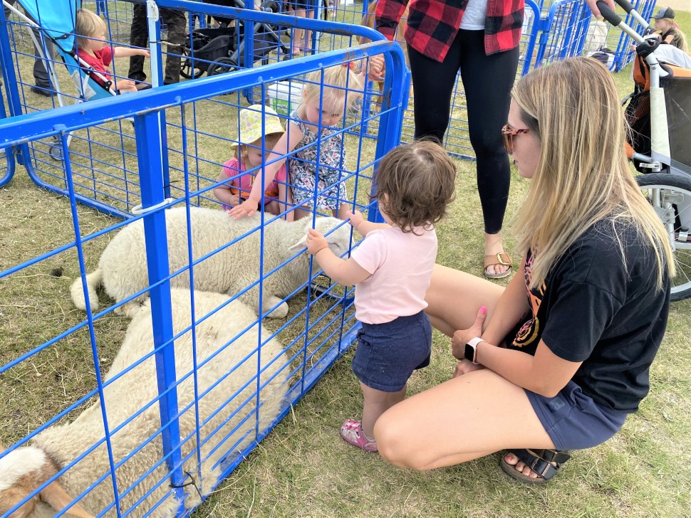 Bingo, parade and hoops: Mitchell and Area Fun Days in photos ...