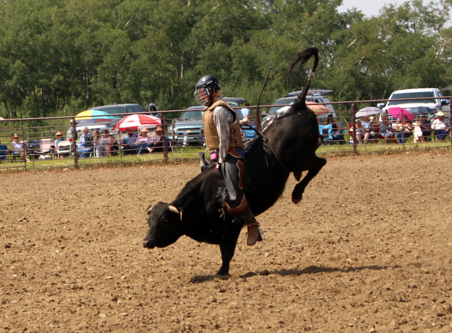 Over a century of bucks, broncs, and bull riding at Murraydale ...