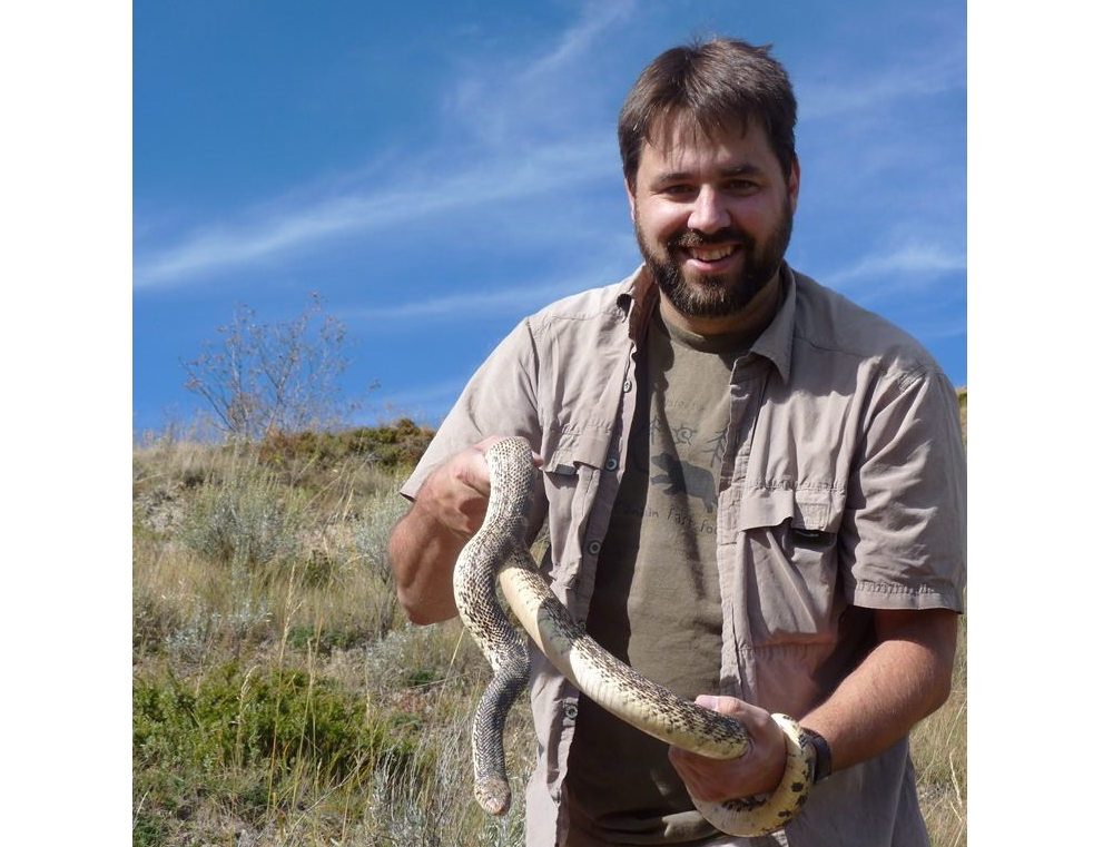 Keep a careful eye and ear out for rattlesnakes in southwest ...