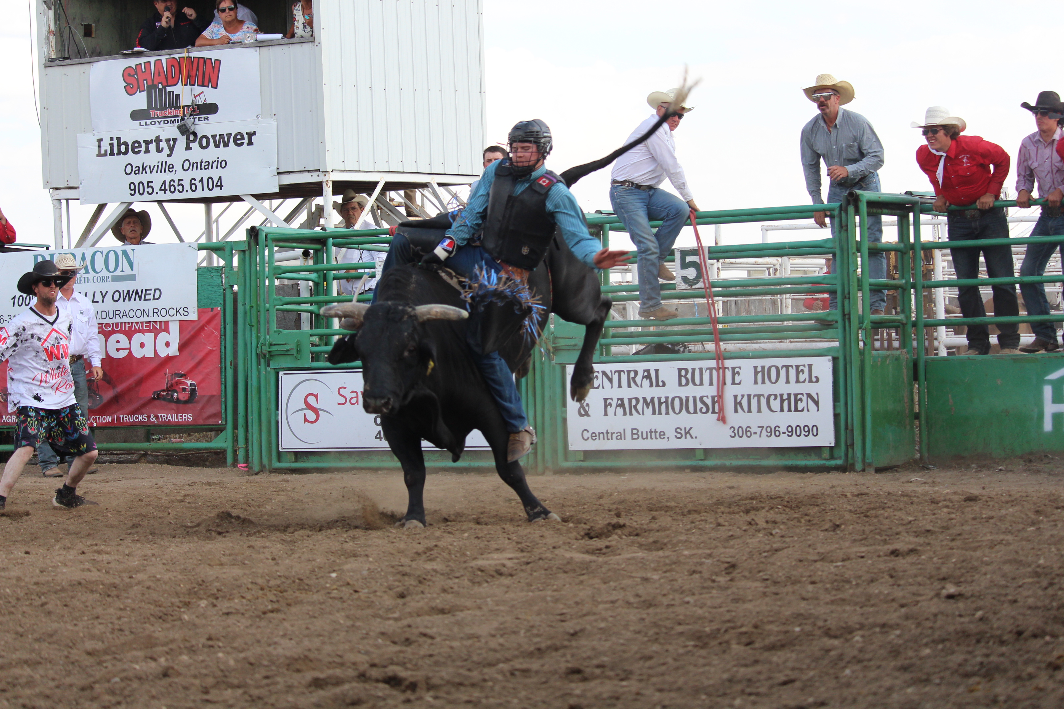 Bulls on Parade at Herbert Stampede - SwiftCurrentOnline.com - Local ...
