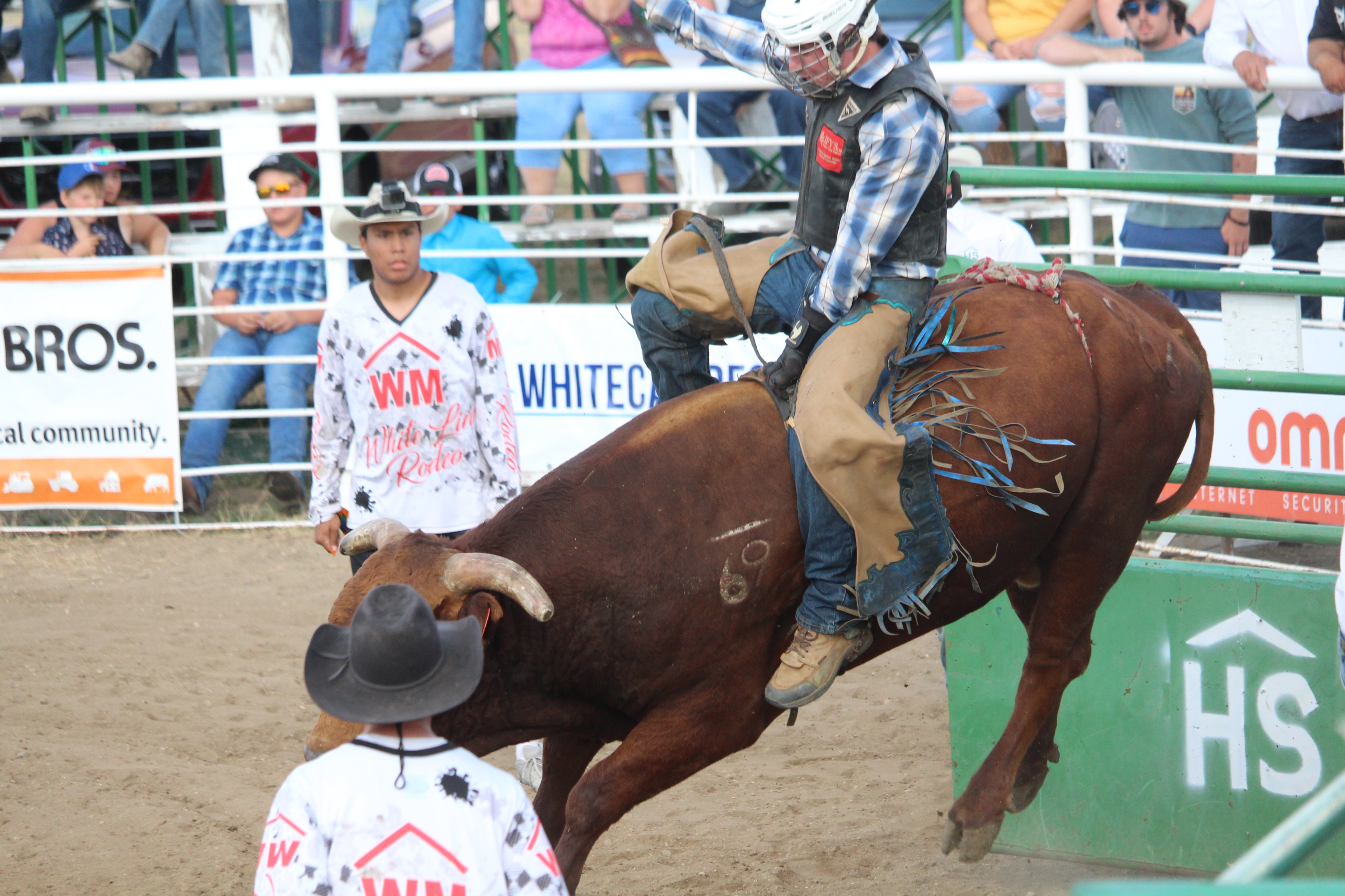 Bulls on Parade at Herbert Stampede - SwiftCurrentOnline.com - Local ...