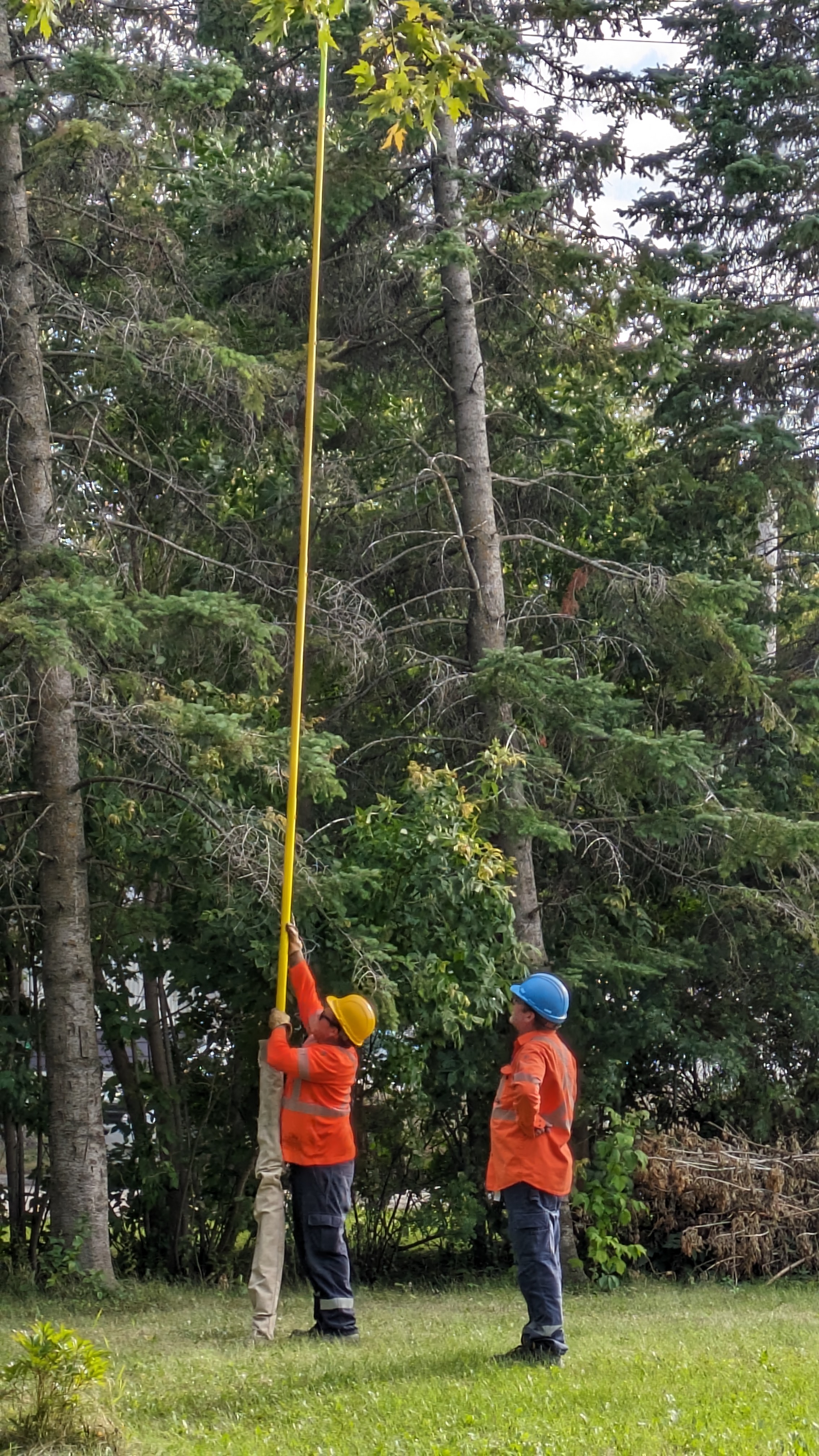 Strong winds blow tree onto powerline causing power outage in Portage ...