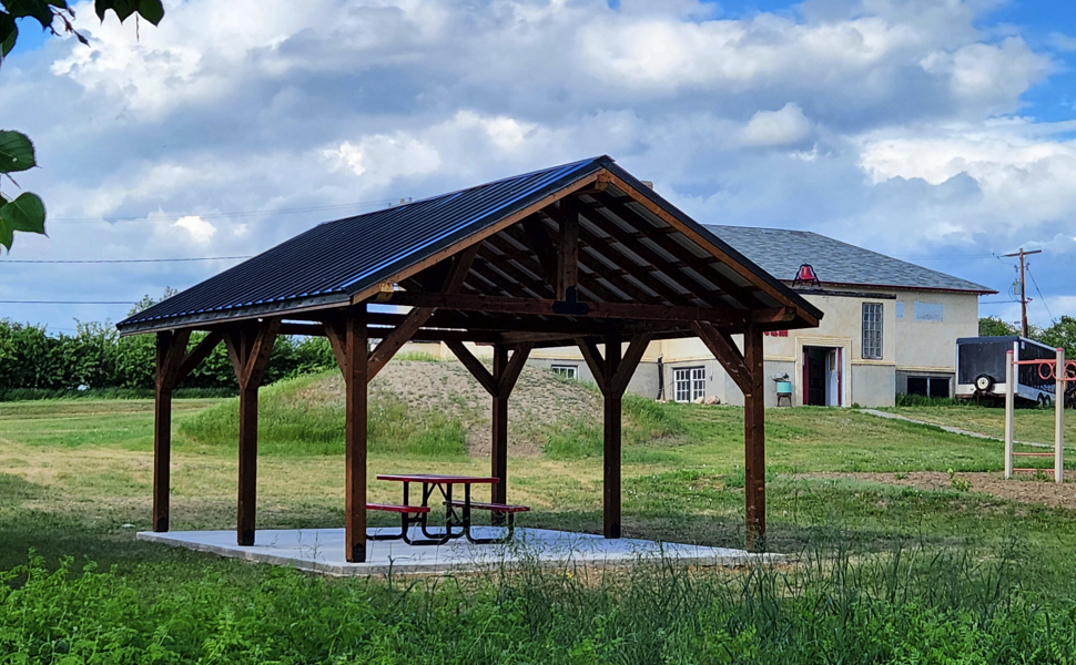 Innovative grant helps bring shade to Village of Climax