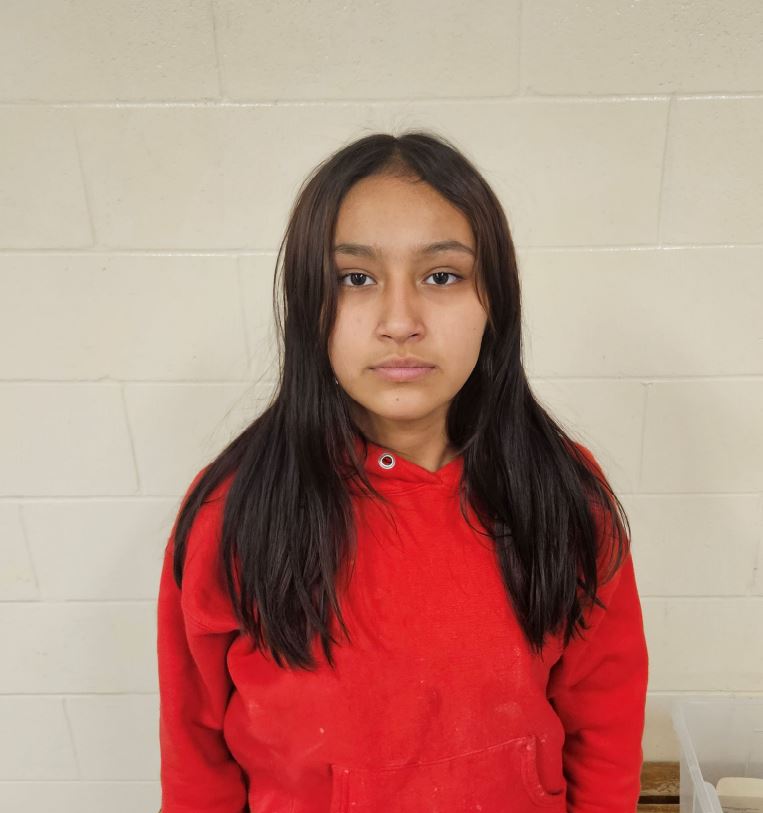 Portage RCMP search for missing teen - PortageOnline.com - Local news ...