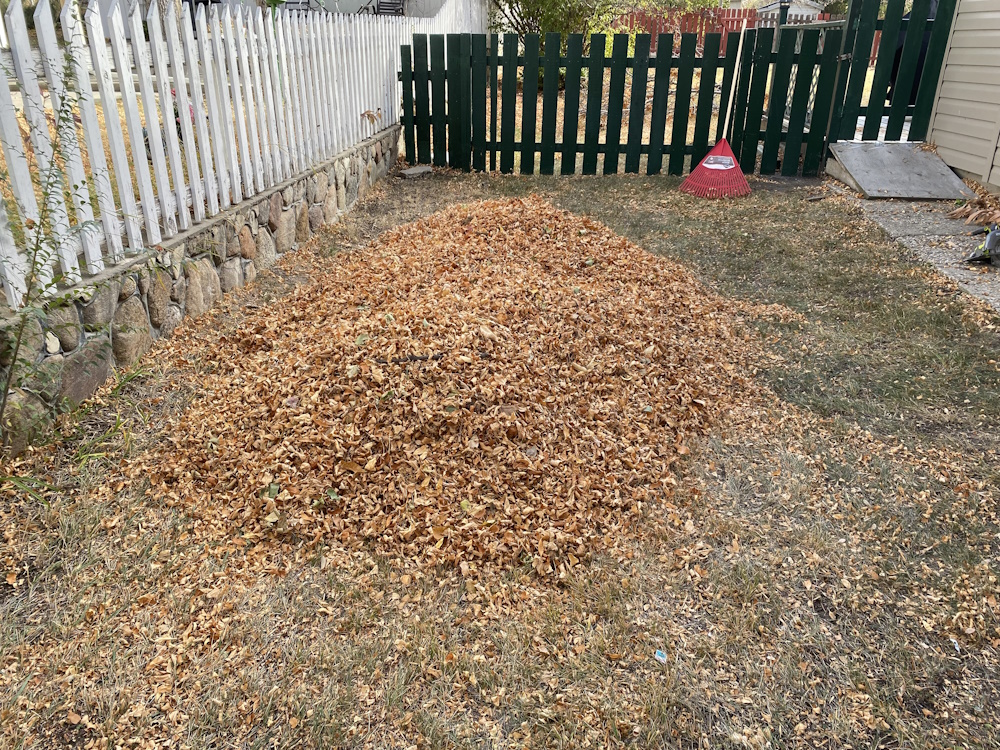 Free Yard Waste Disposal Weekend Local news