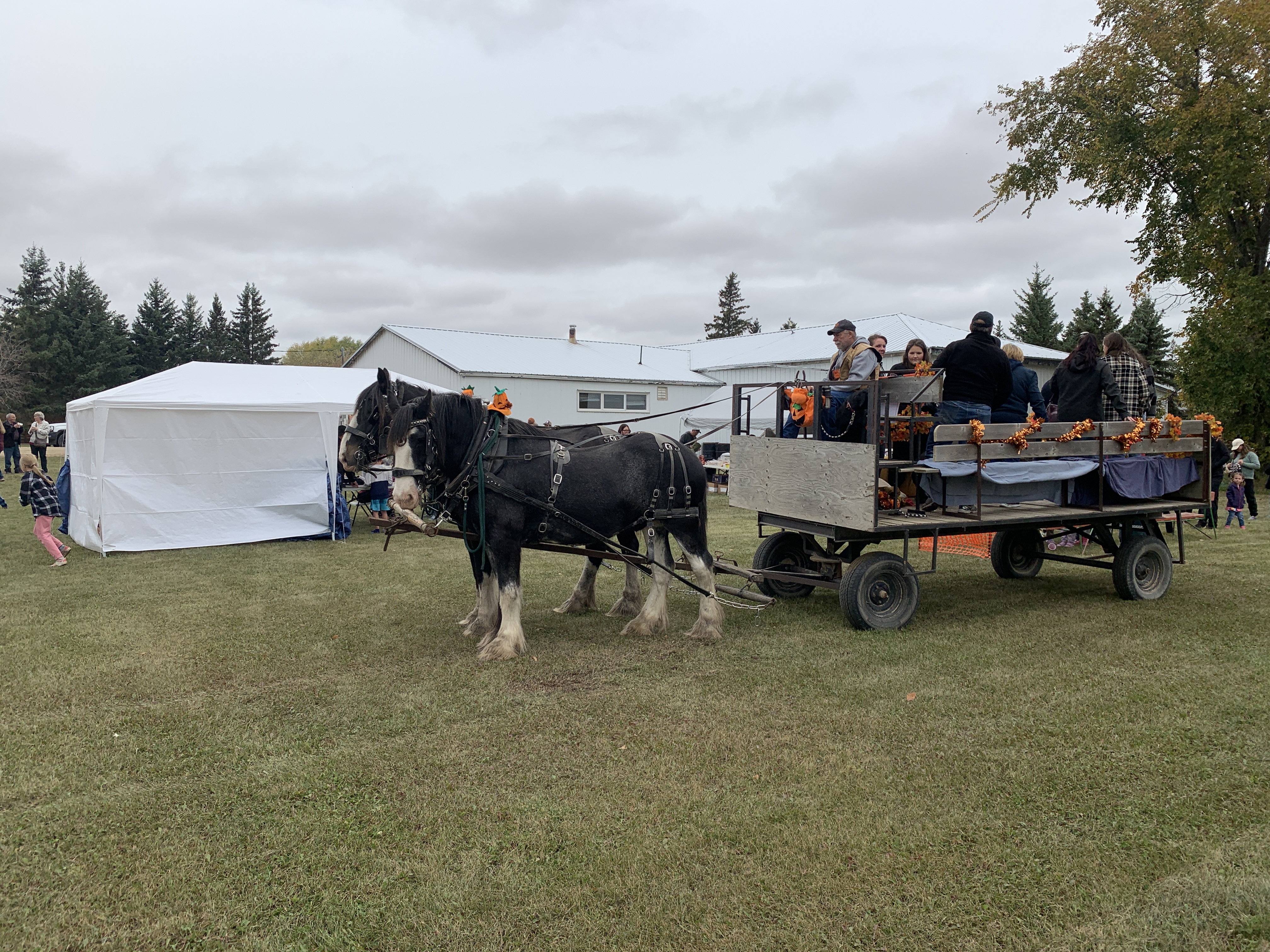 Record smashing pumpkin highlights Pilger Pumpkin Festival ...