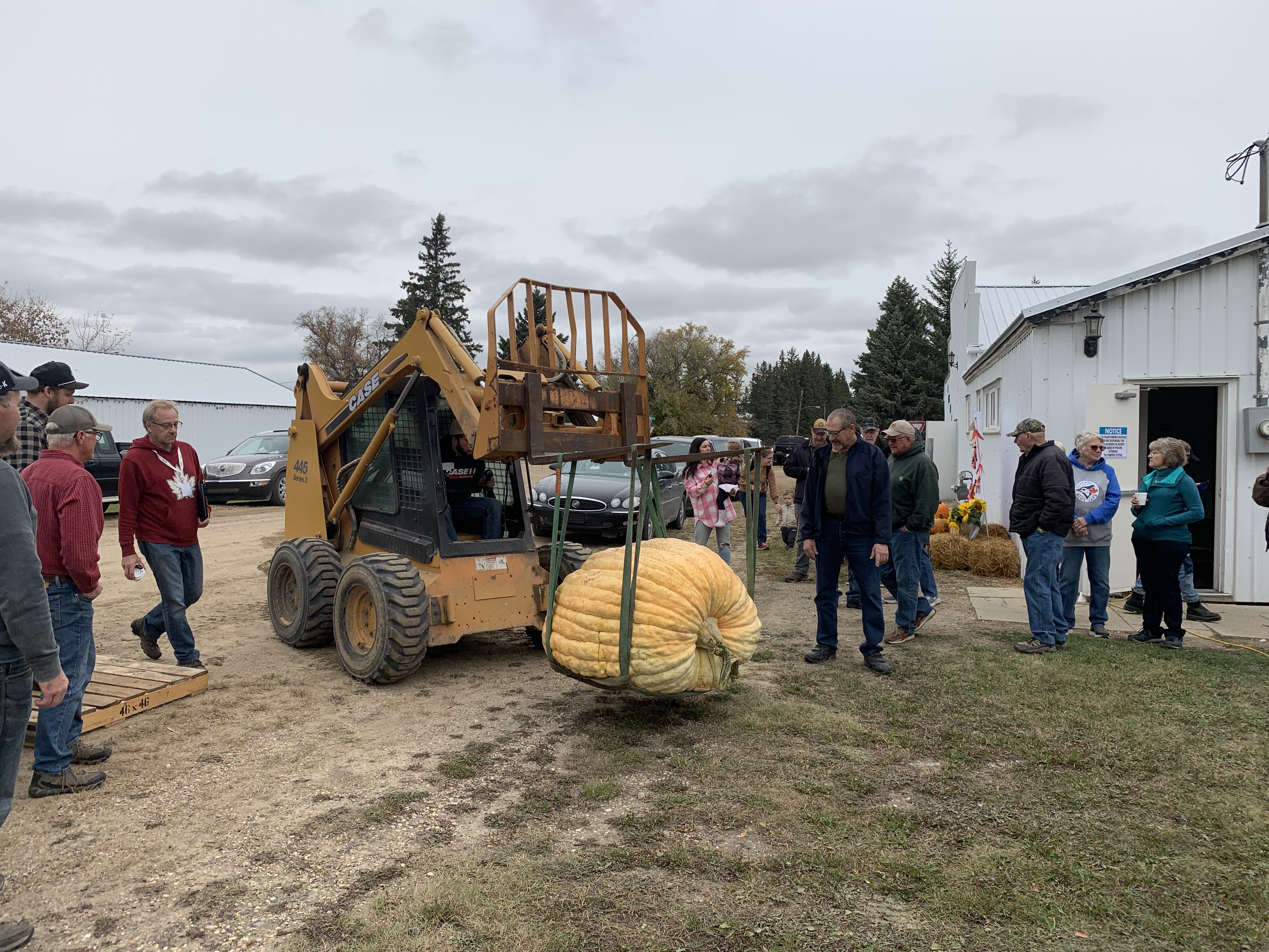 Record smashing pumpkin highlights Pilger Pumpkin Festival ...