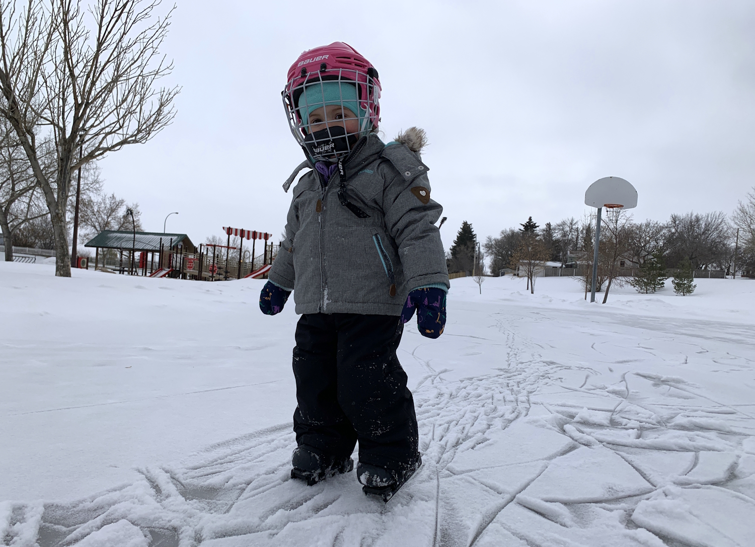Rinks reawaken recreation in Swift Current - SwiftCurrentOnline.com ...